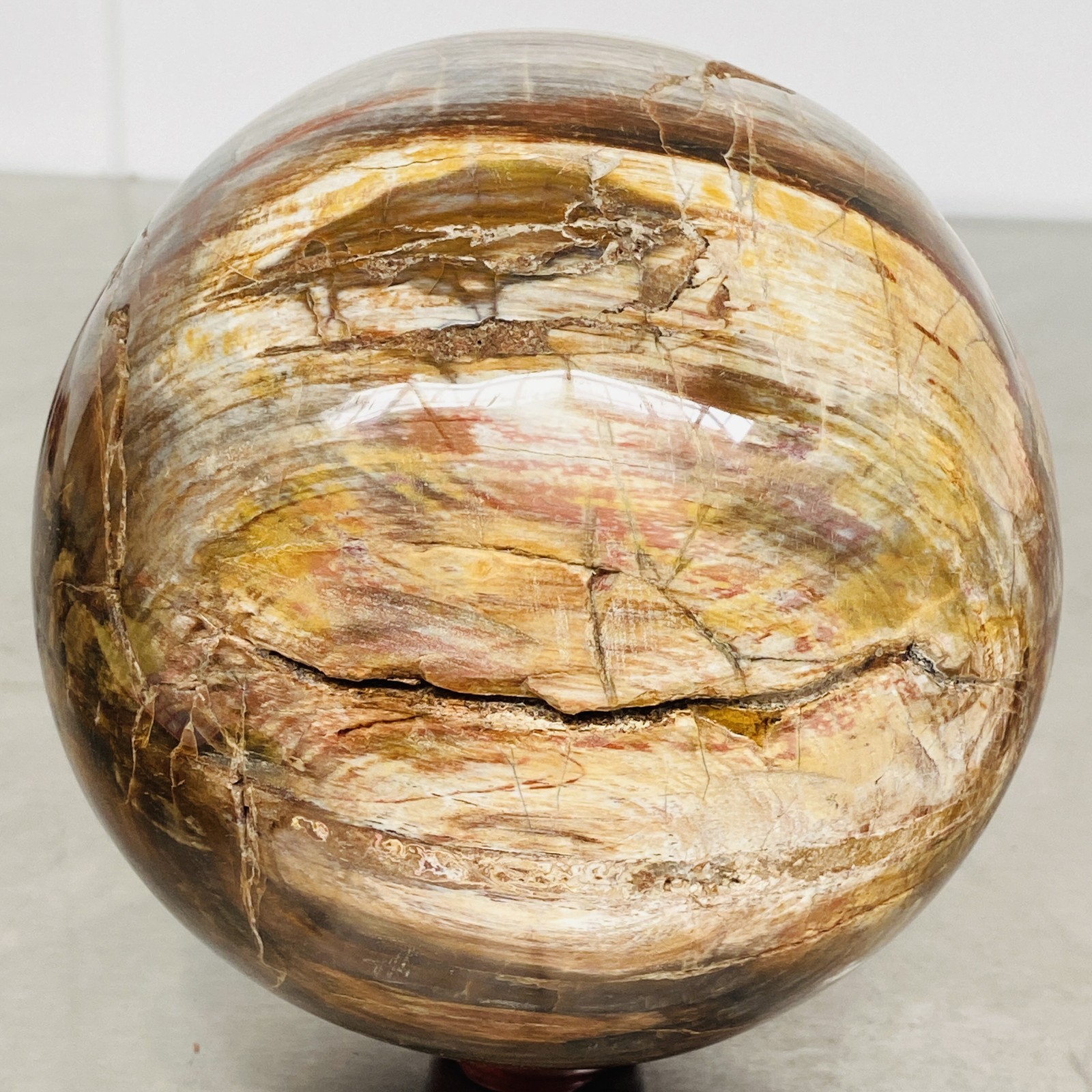 Natural Petrified Wood Polished Stone Quartz Crystal Sphere Ball Healing 3720G