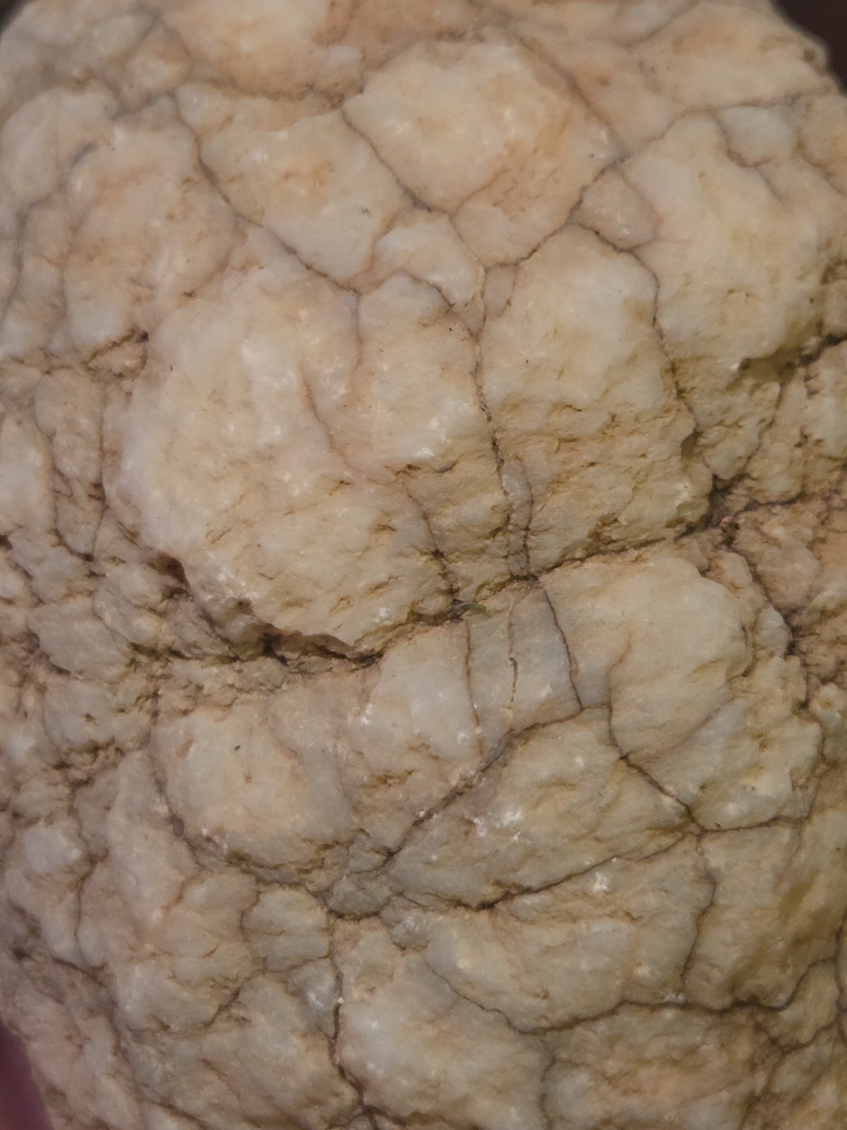 Indiana Limestone Concretion 1 8 lb | Natural Botryoidal Calcite Rockhound Find