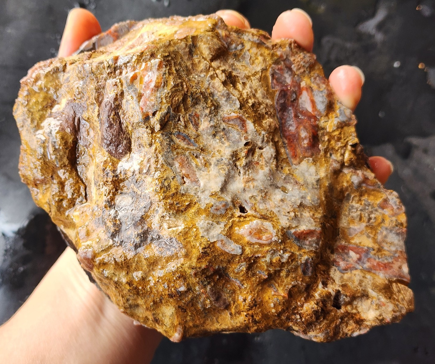3.3 lbs (1.5 kg) Unpolished Agate, Almus Agate, Large Agate Pair, アゲートのペア, العقي
