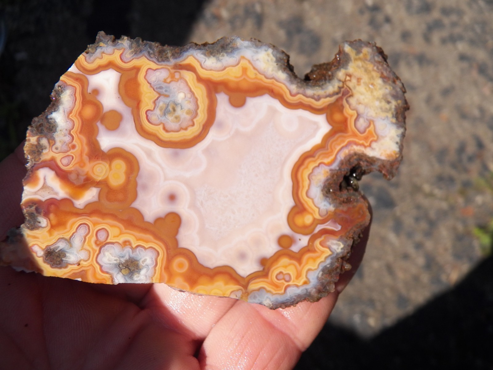 Agouim High Atlas Morocco agate contrast specimen rough end cut
