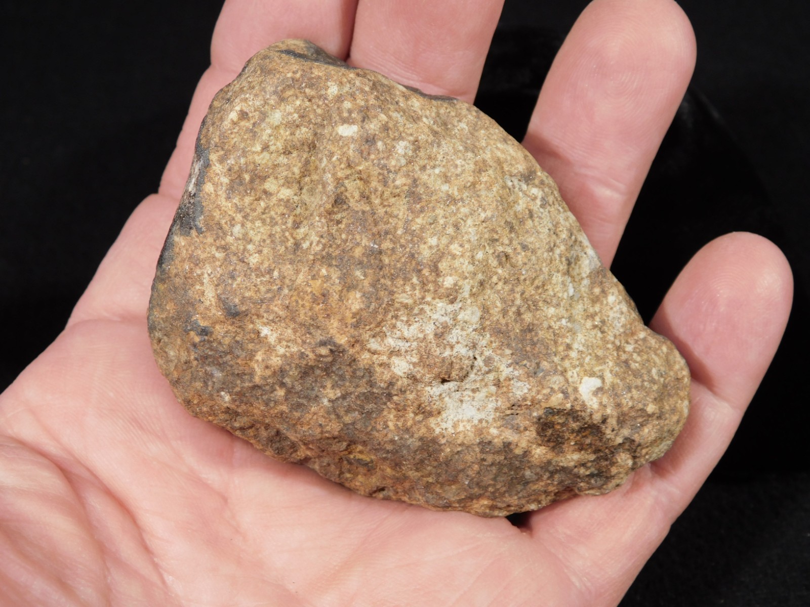 Larger Classified NWA 8245 METEORITE 100% Natural! Erfoud, Morocco 207gr