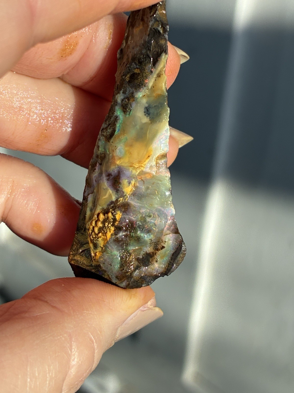 Beautiful 89ct Large Australian Boulder Opal Rough Loose Multicolor Specimen J