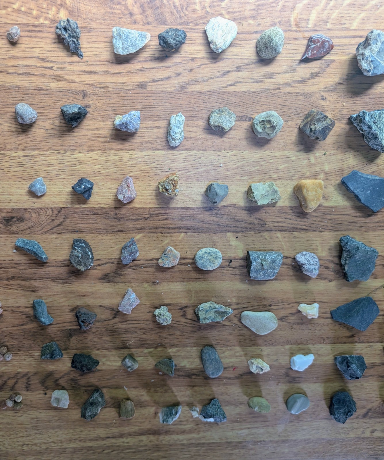 Crystals, Fossils, and Minerals, Rock Lot Stones 100% Natural Mixed Estate Find