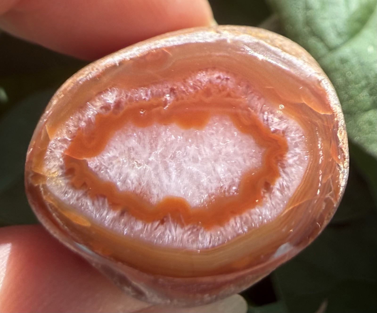 Lake Superior Agate Specimen. 1 1/4”x 1 1/4”x3/4”, 1.2 oz. Each end cut/polished