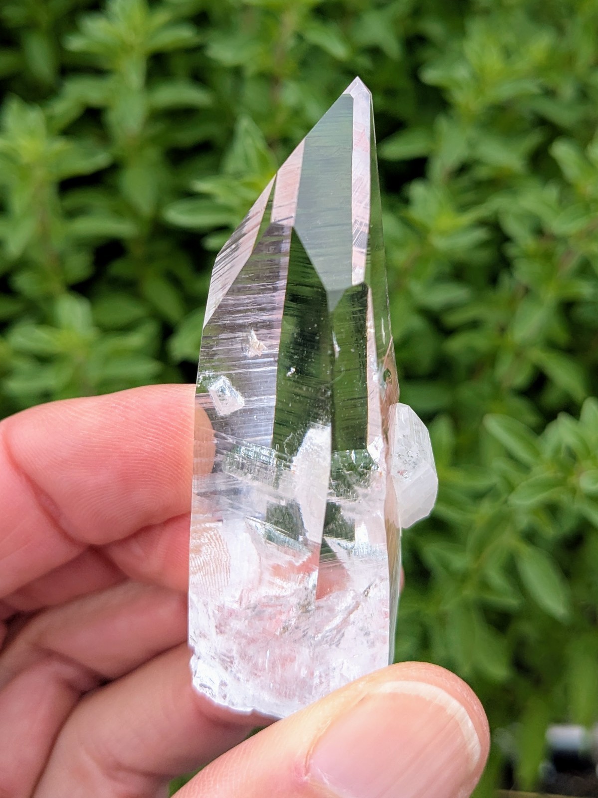 Lemurian Quartz Crystal – Penas Blancas, Colombia