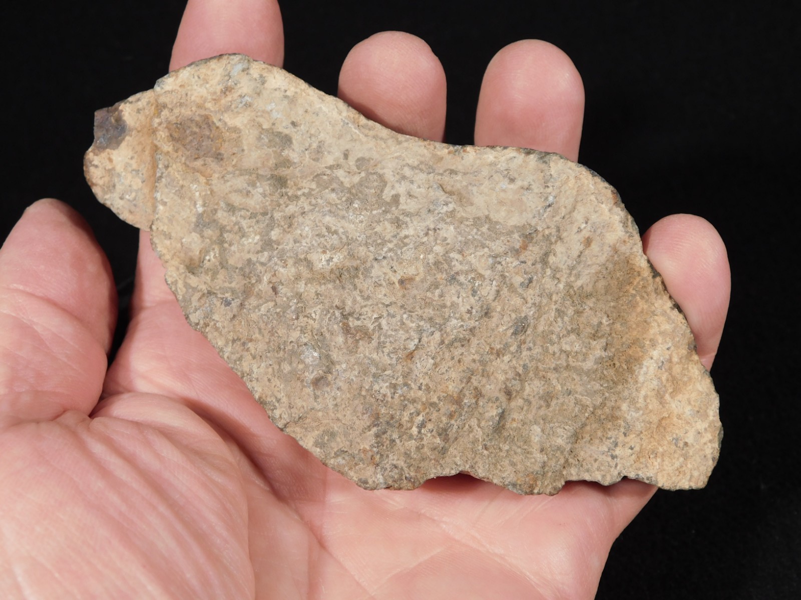 Classified NWA 8245 METEORITE Dark Crust and Regmaglypts! Erfoud, Morocco 298gr