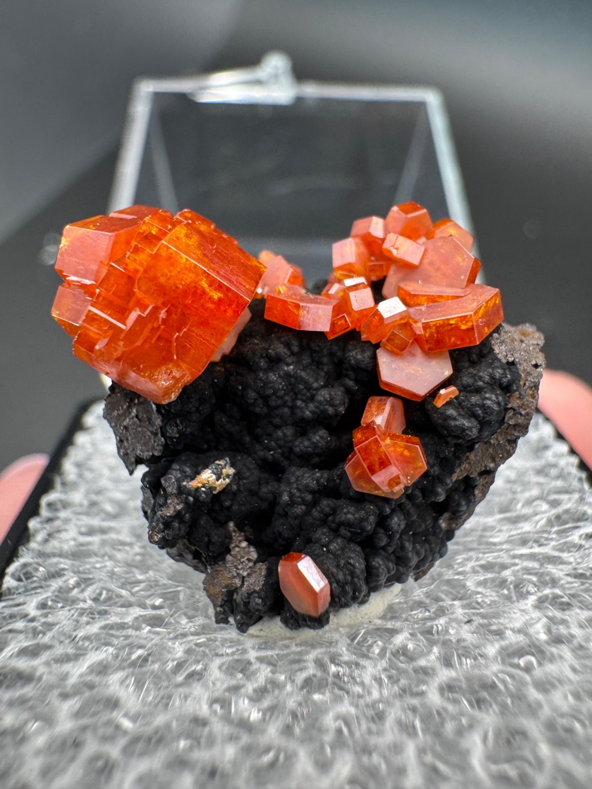 6786 Red Vanadinite on RARE Black Hematite Matrix in Perky Morocco