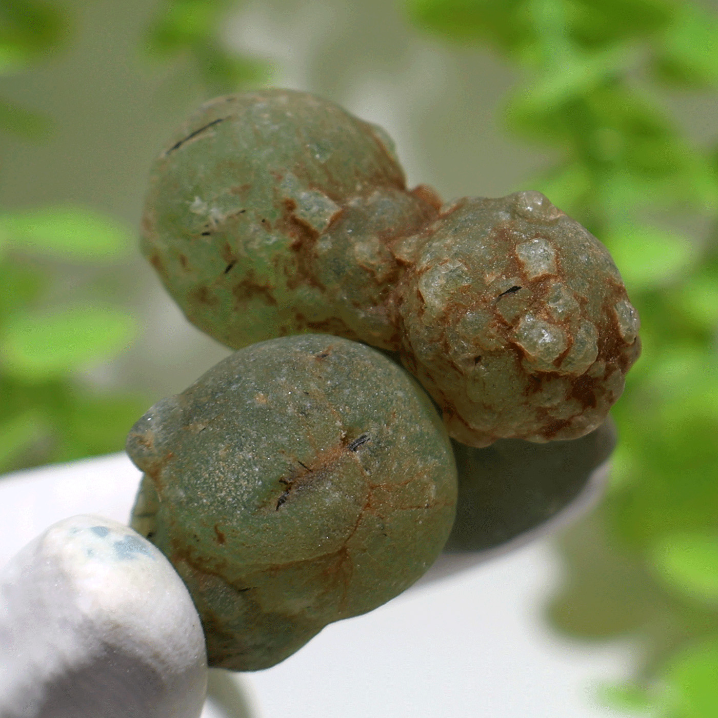 Earth’s Geometry~ 2 PC Ancient Orbs Of Prehnite Rare Mineral Crystal Specimens