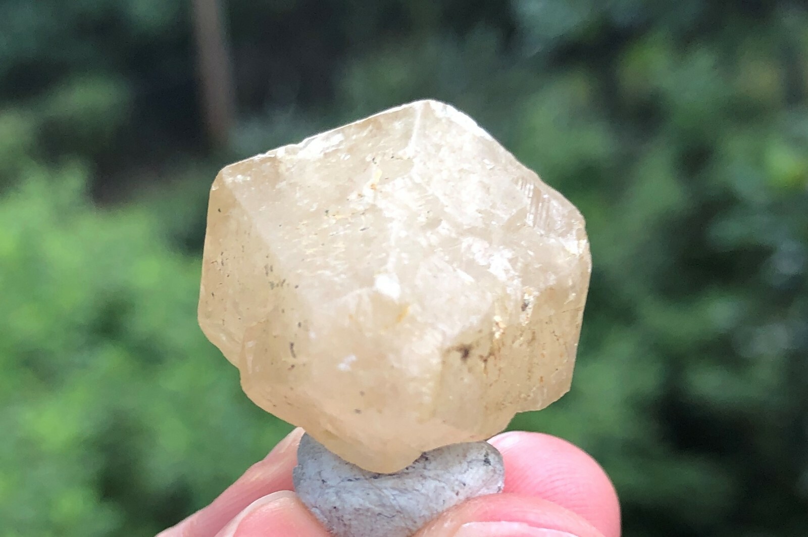 Old Cerussite Twinned Crystal, Tsumeb, Namibia, Ex Schortmann’s +