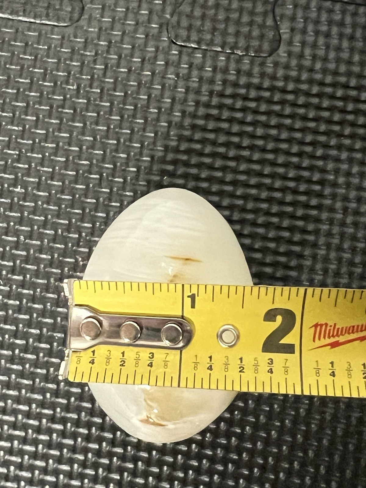 Polished Orange Calcite Stone Egg. 2 1/2 in High, 1 1/2 in Wide. Preowned.