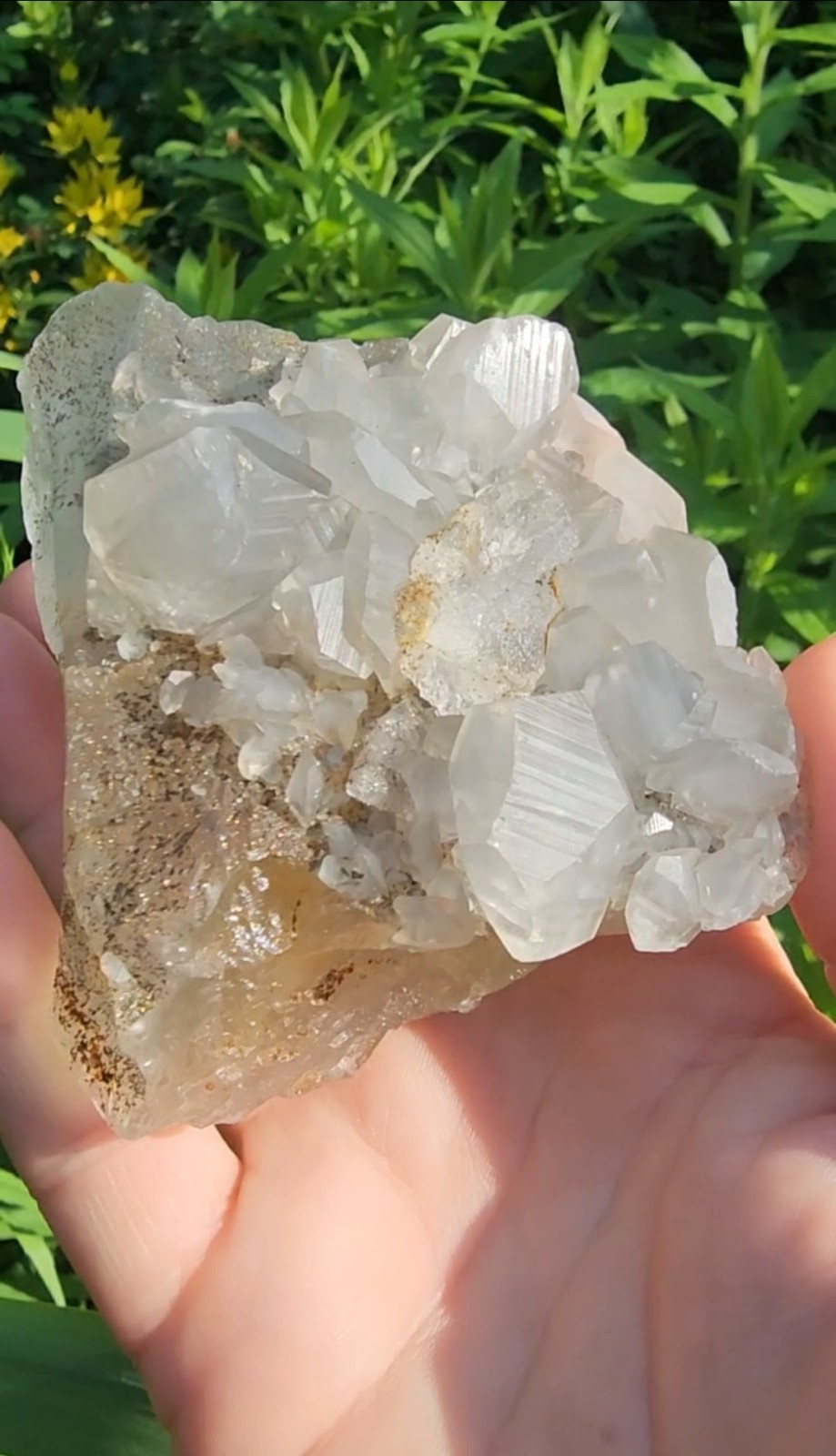 ✨️”Benz” Calcite On Fluorite With Chalcopyrite- Wenshan China✨️