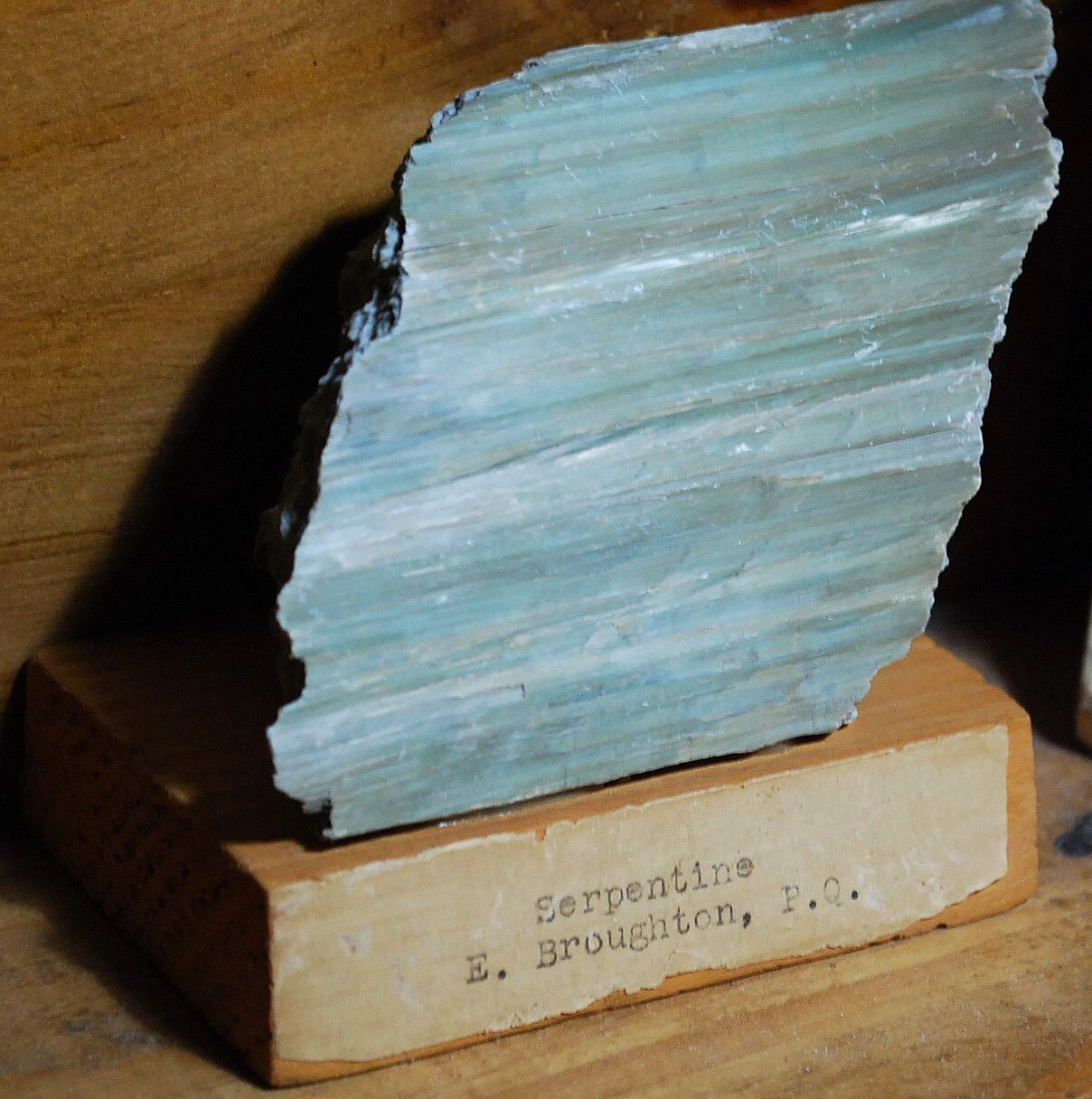 Natural GREEN SERPENTINE STONE Mineral MUSEUM NMBR SPECIMEN Quebec MOUNTED 4.25″