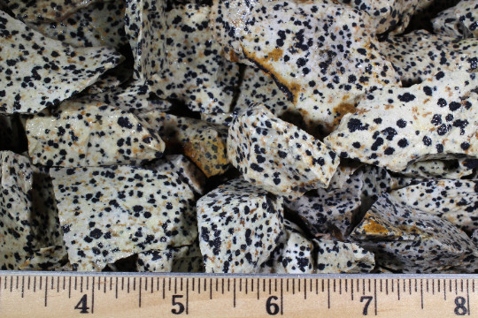 Dalmatian Jasper – Rough Rocks for Tumbling – Bulk Wholesale 1LB options