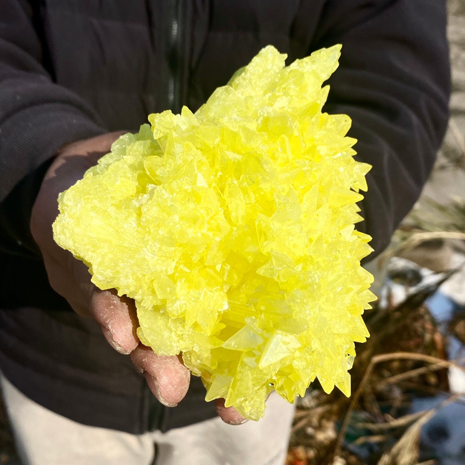 1.4LB Minerals ** LARGE NATIVE SULPHUR OnMATRIX Sicily- FREE.