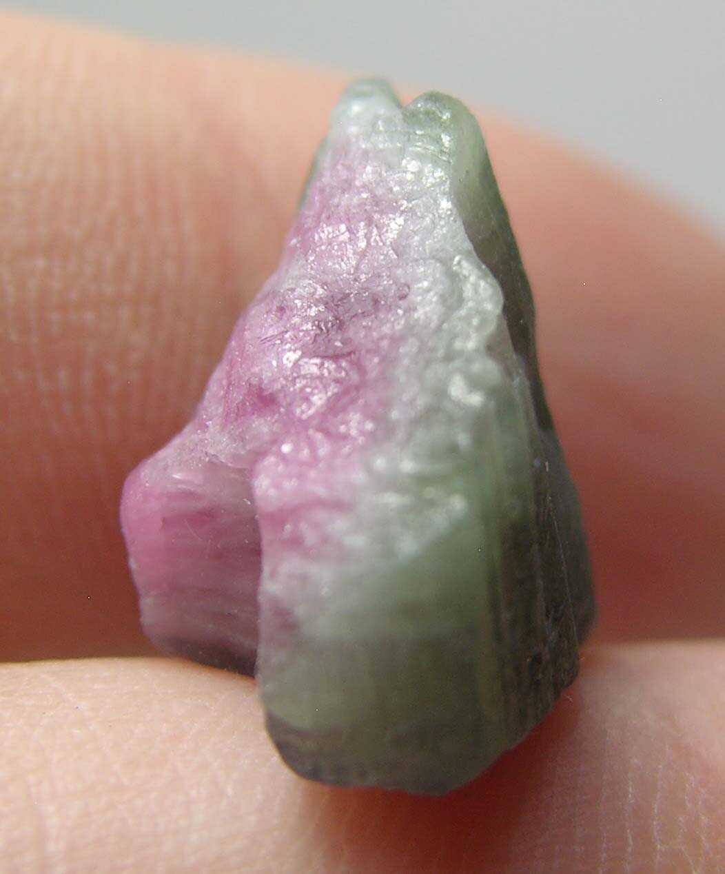 11.00ct Afghan 100% Natural Watermelon Tourmaline Crystal Specimen 2.20g 16.00mm
