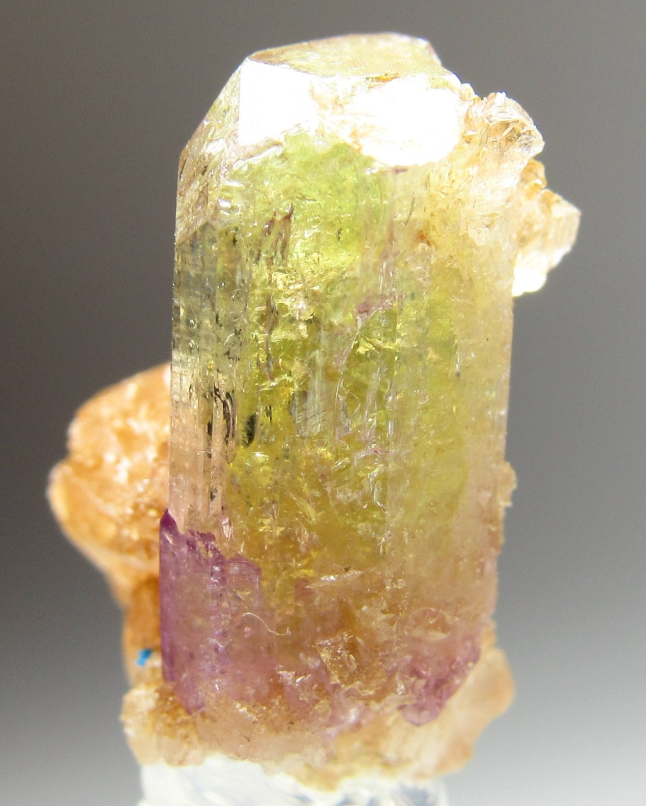 ELEGANT ULTRA RARE COMBO VESUVIANITE, GROSSULAR, DIOPSIDE!!! JEFFREY MINE CANADA
