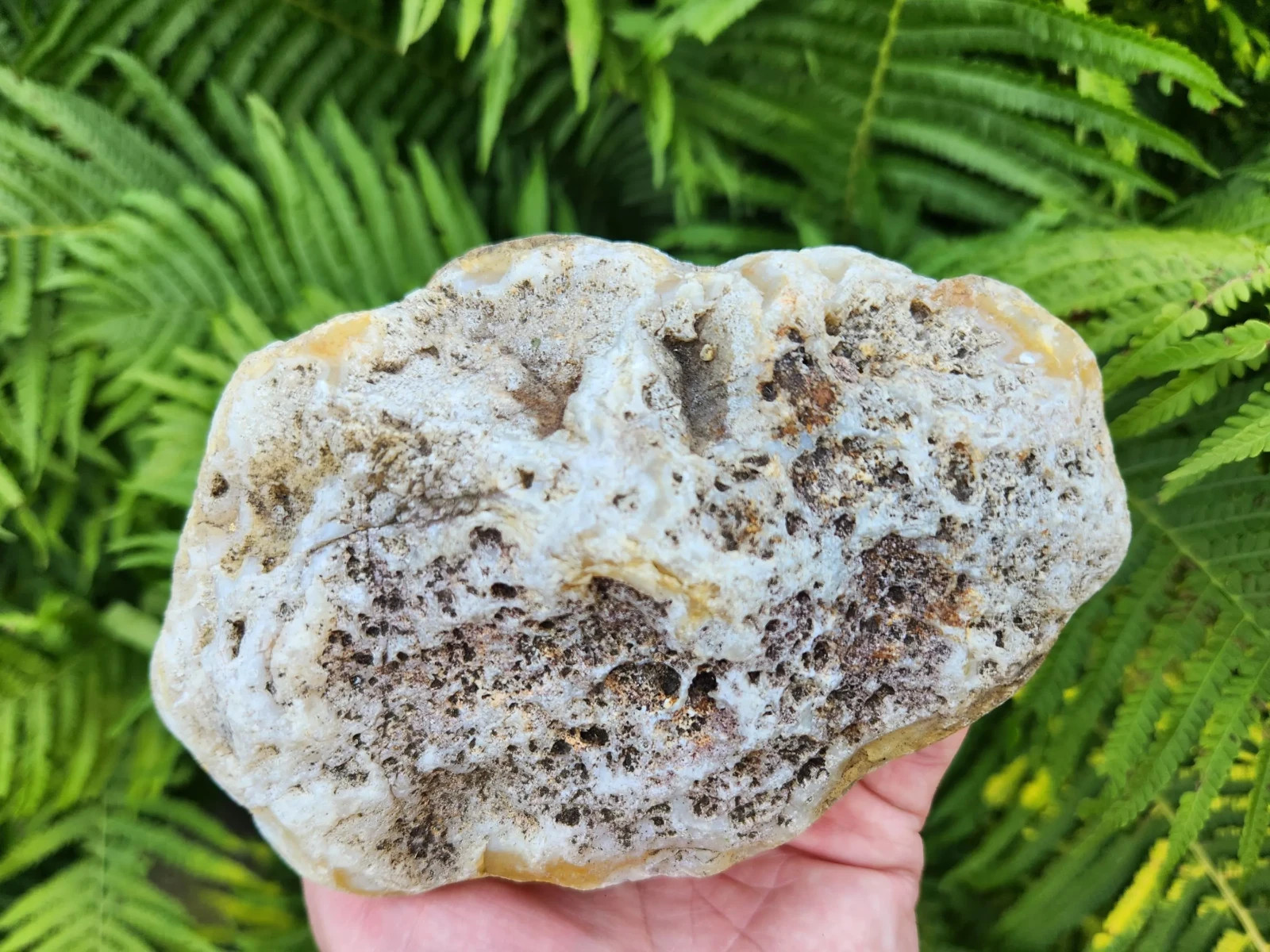 Large Oregon River Agate w/ Waterline Features, 2 lbs 4 oz, Chalcedony, Lapidary