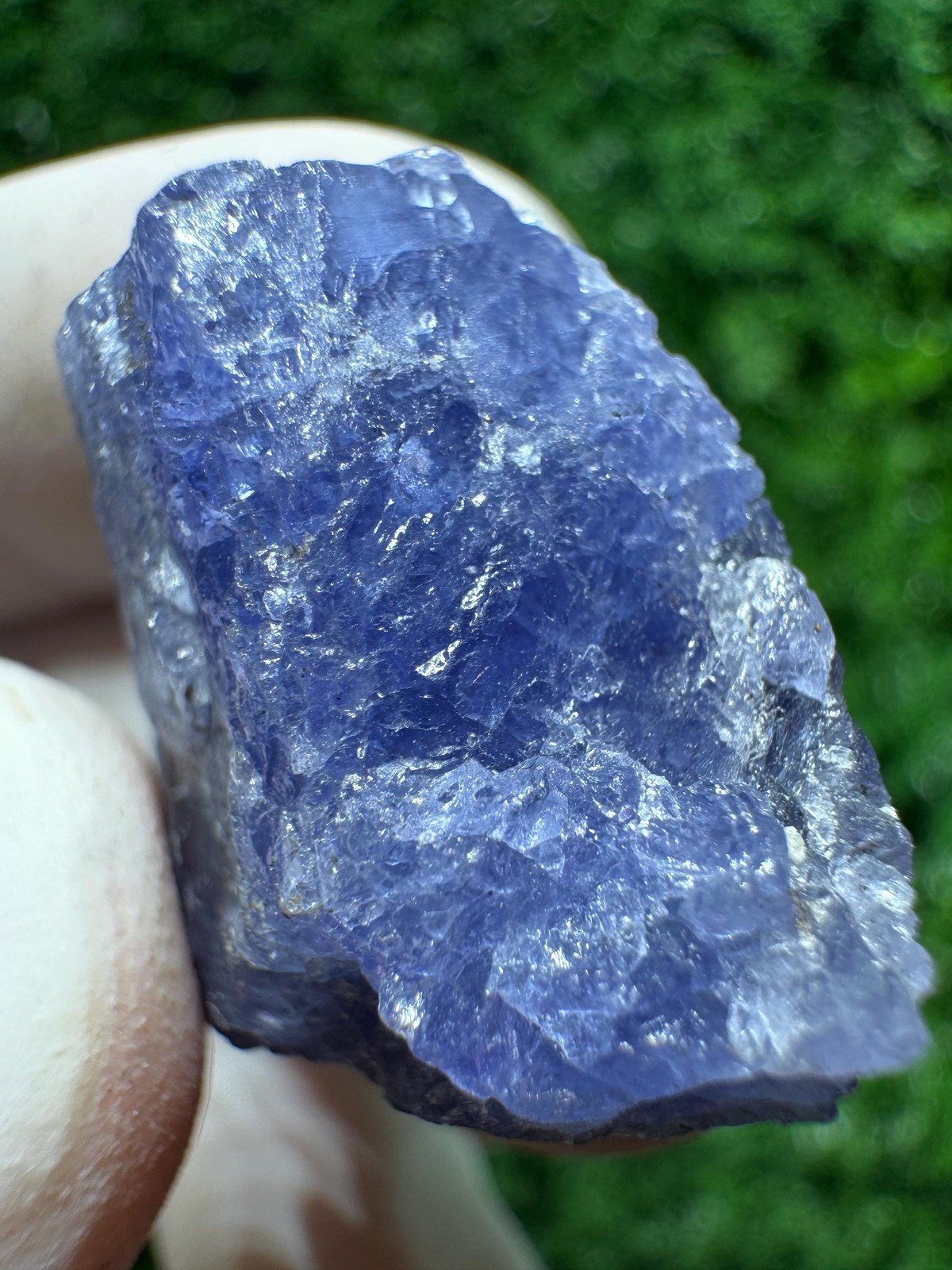 Amazing TANZANITE Crystal with COLOR CHANGE under yellow/white light / N441