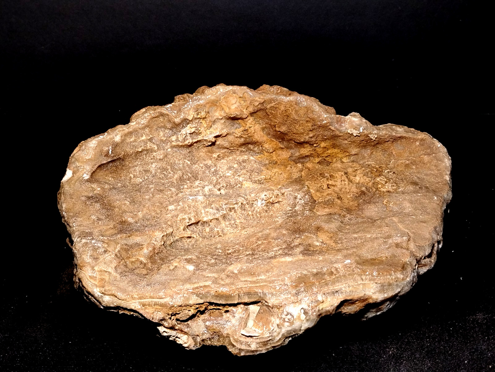 16lb Phosphorescent Flowstone “Lip” – Fortress Keep Mine, MO – Rare Afterglow