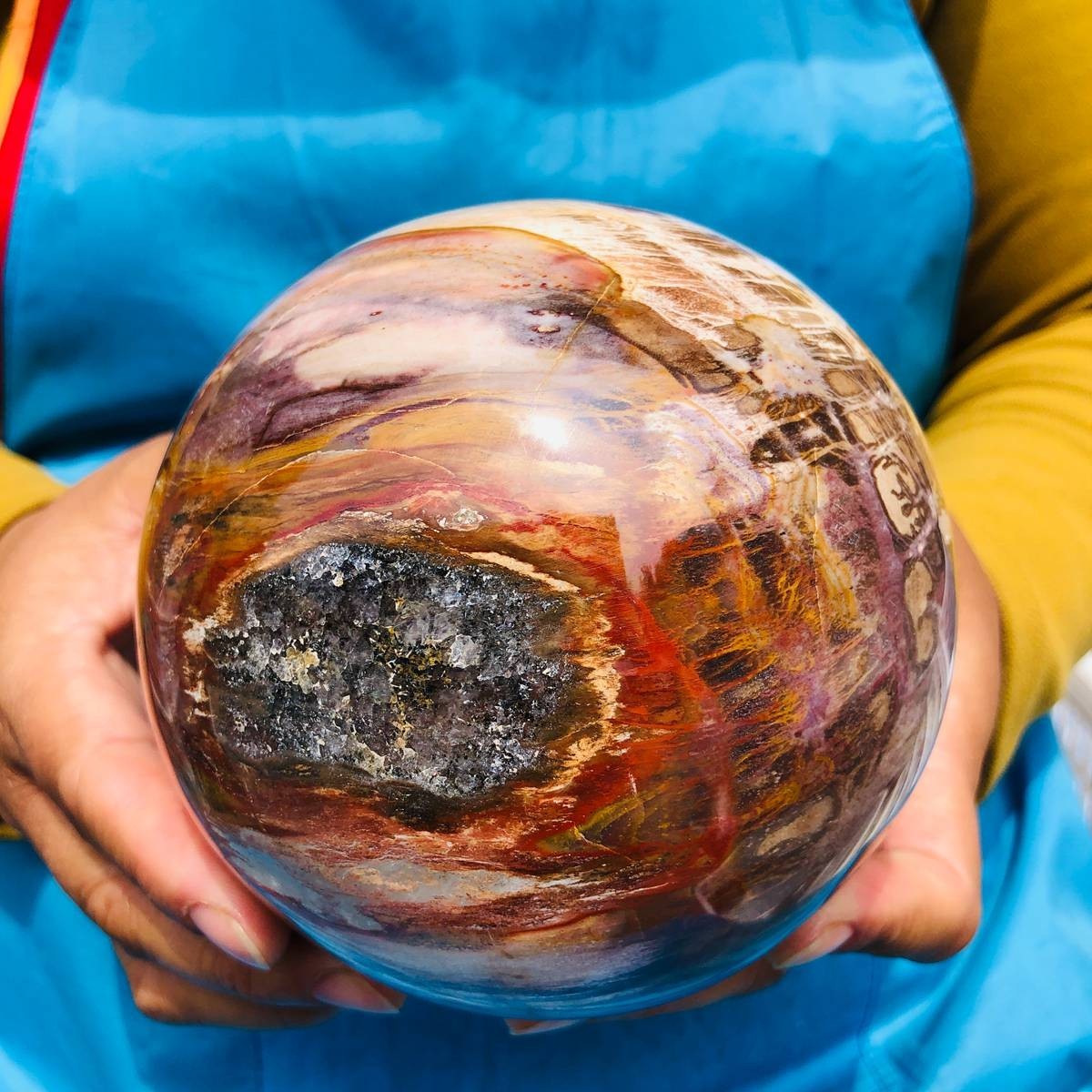 4.59LB Natural Petrified Wood Sphere Polished Crystal Ball reiki healing