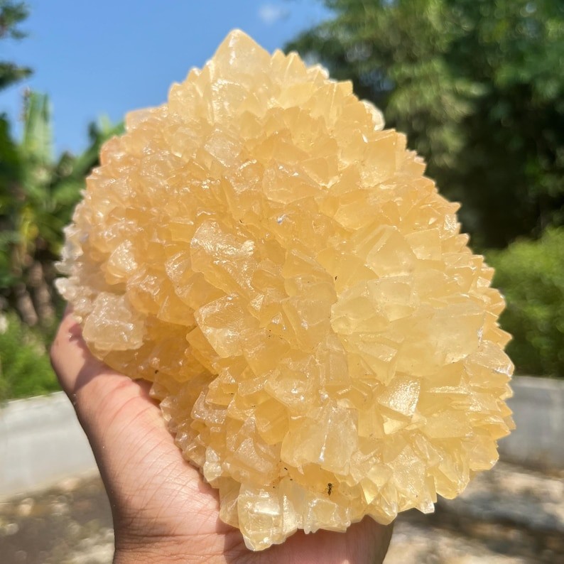 5.9 Lb Huge Yellow Calcite Crystal | High Quality Flower Calcite | Healing Stone