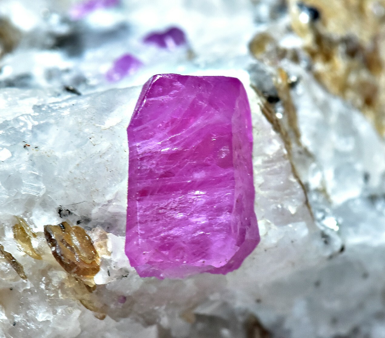 416 CT Excellent Quality Top Lustrous Ruby Crystal w/ Phlogopite Mica On Matrix