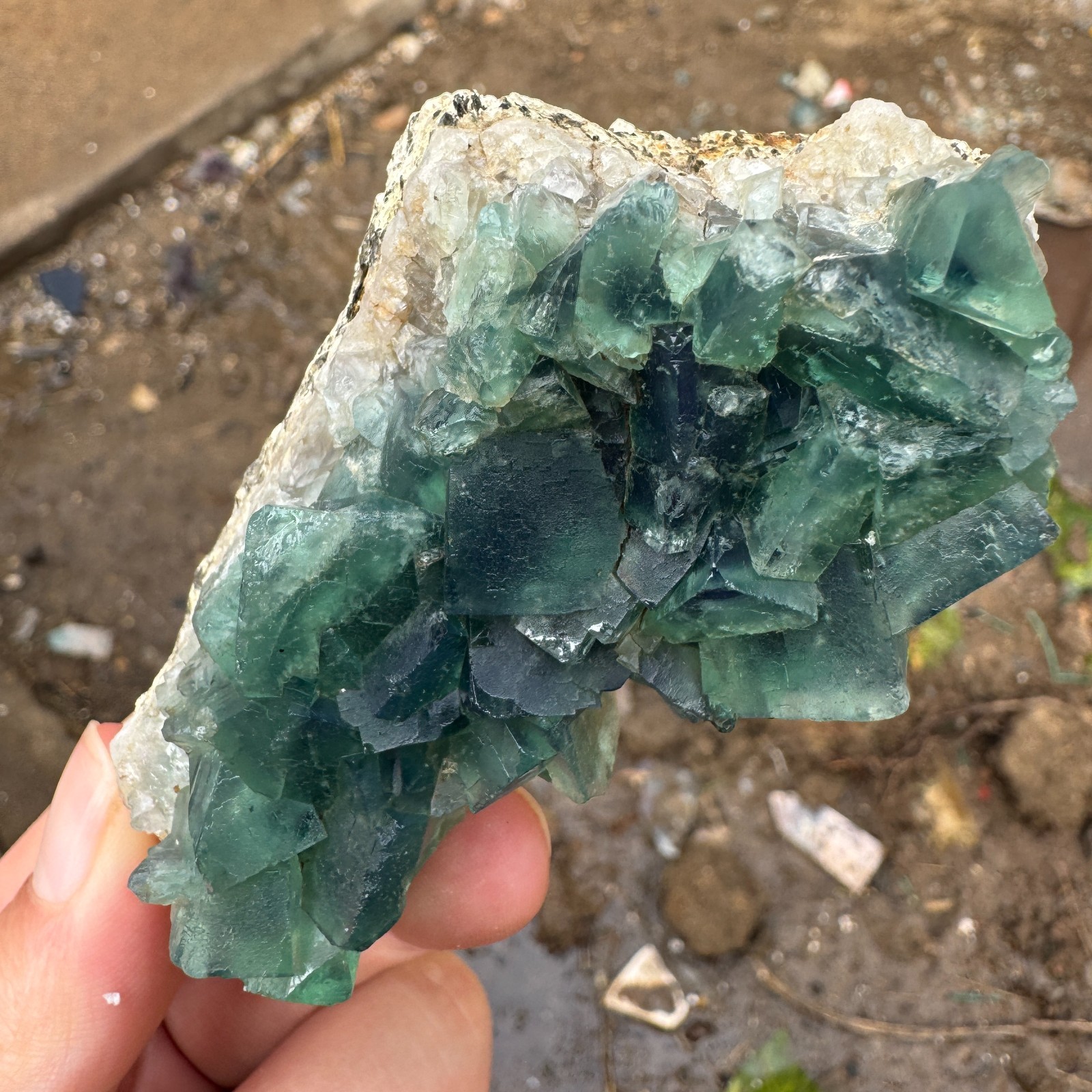 155G Natural cubic green fluorite crystal cluster rough mineral specimen Healing