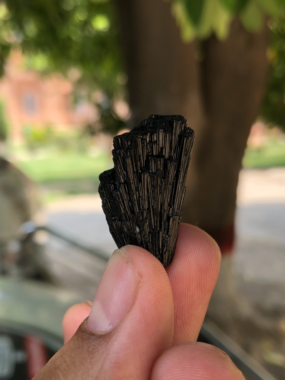 Black Tourmaline Termination Crystal Specimen From Pakistan 10.70 G