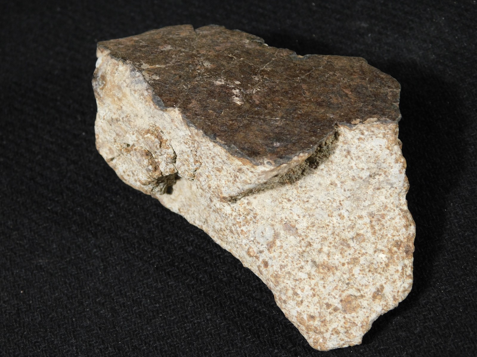 Larger! Classified NWA 8245 METEORITE 100% Natural! Erfoud, Morocco 184gr