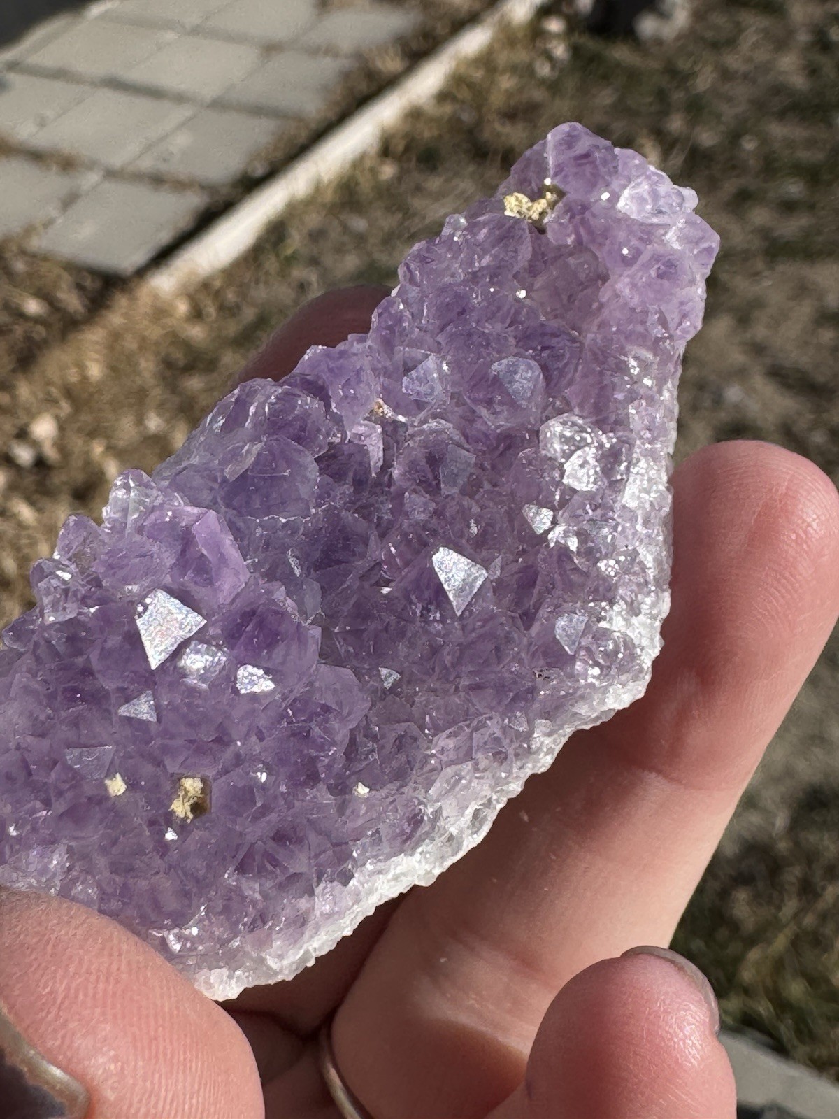 ✨Amazing African Amethyst Cluster