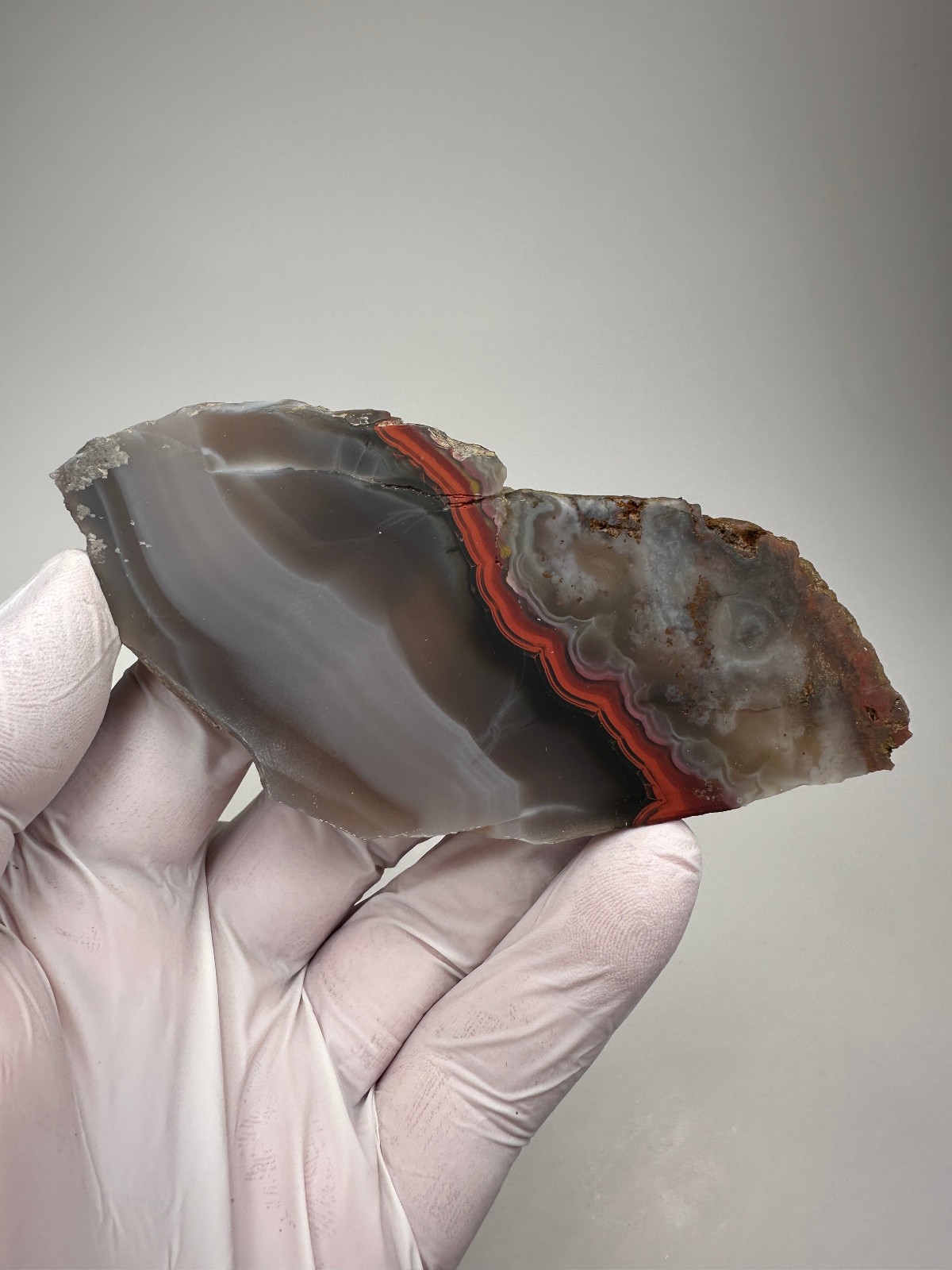 Beautiful Large Kentucky Agate Lapidary Slab from Estill County