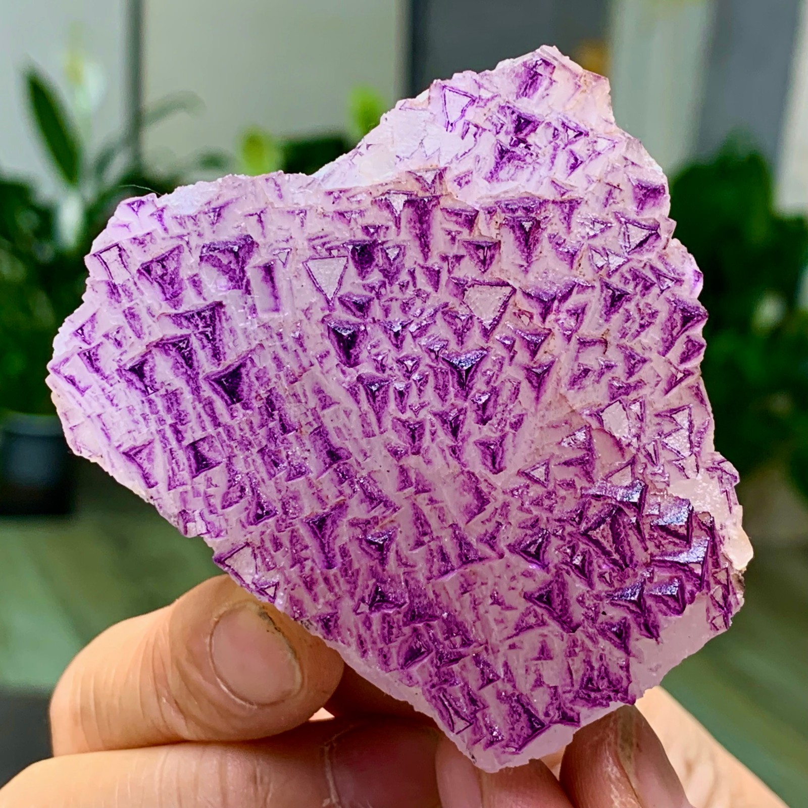153G Natural fluorite purple edged cubic crystal mineral sample
