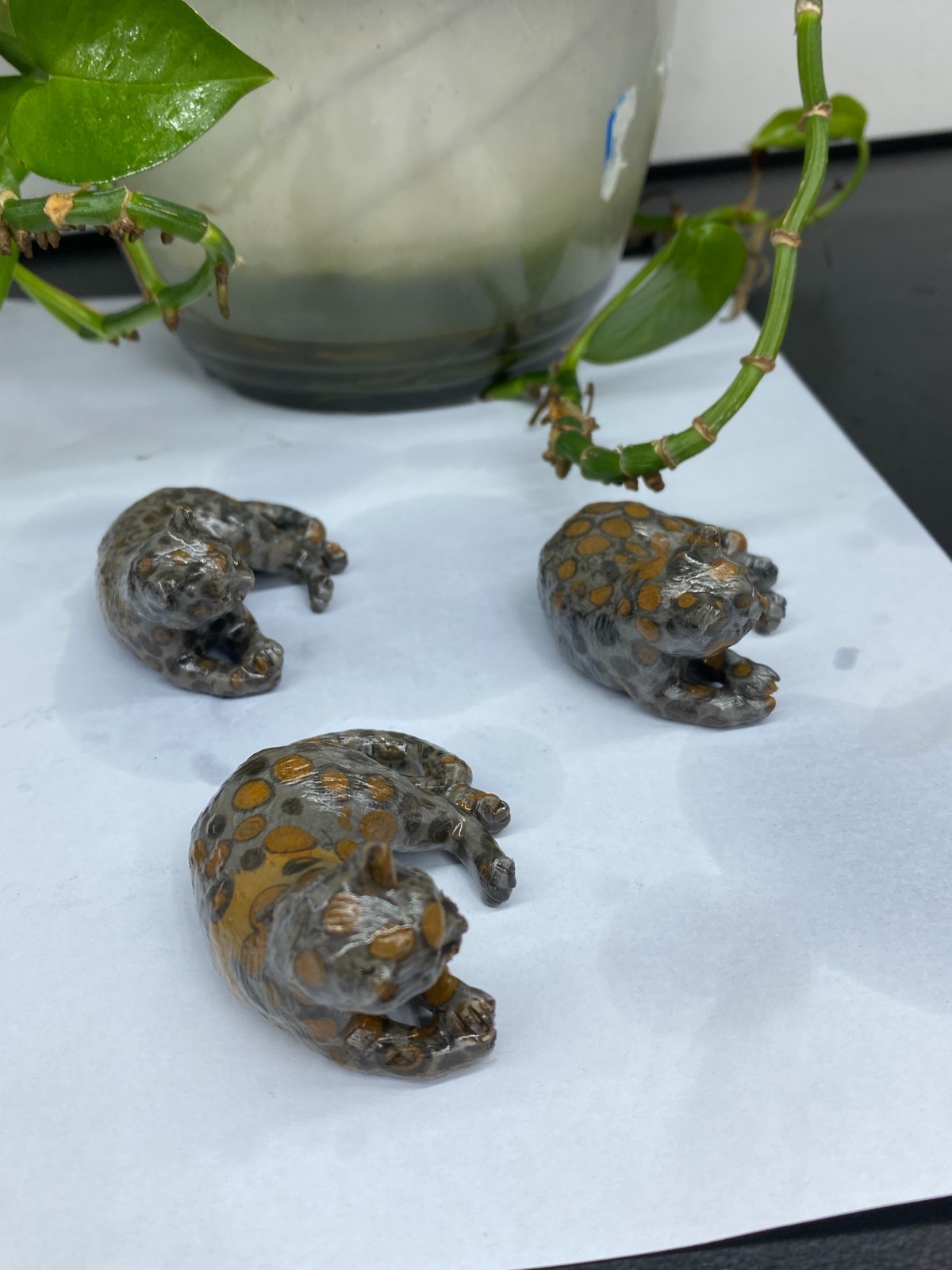 3pc Natural Moneystone Quartz hand Carved Cat skull Crystal reiki healing Random