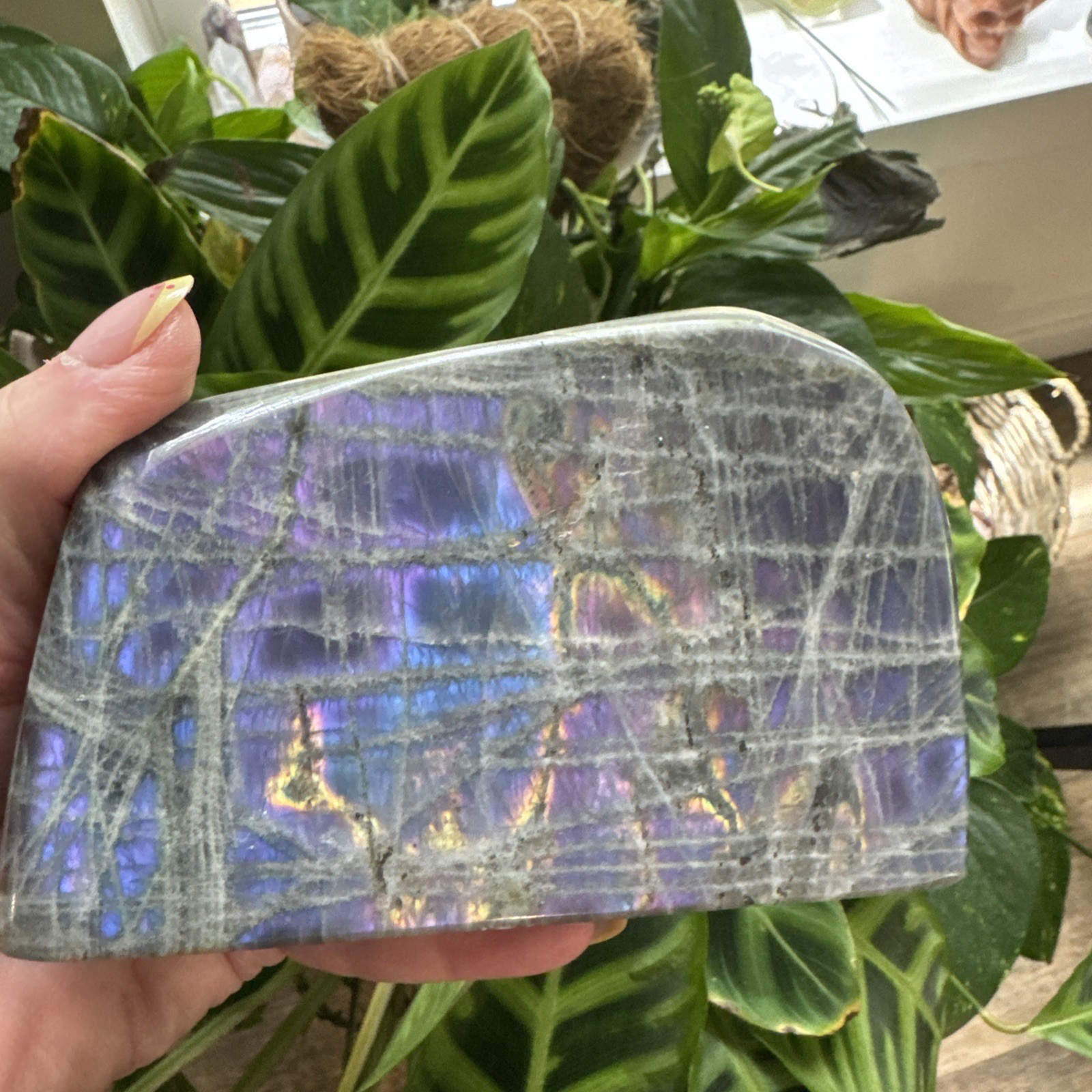 Flashy Labradorite Crystal Freeform 2.09 Lbs 5.5”x4”