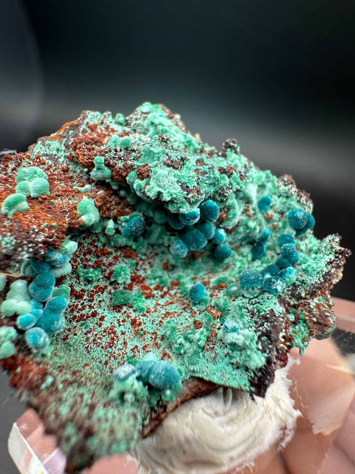 6757 Rosasite and Malachite on Matrix in Perky 8g Ojuela Mine, MX