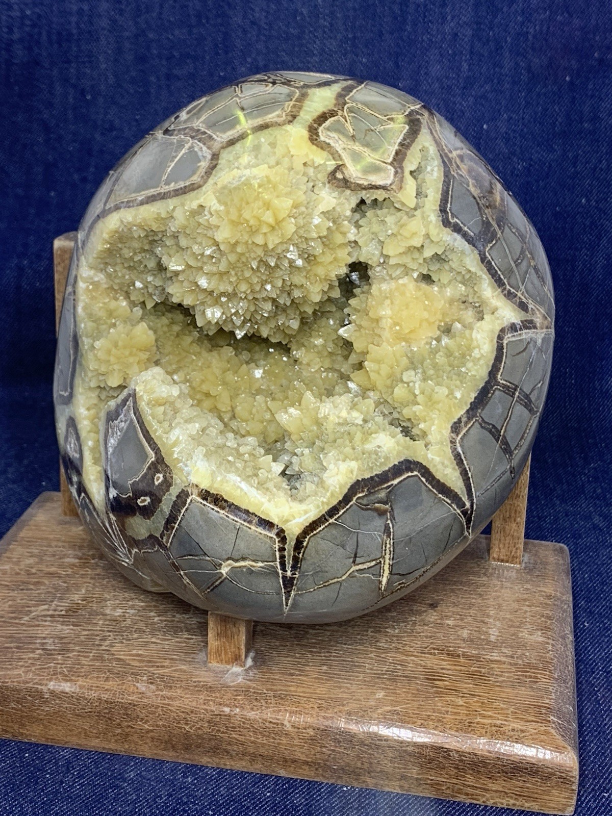 Septarian Nodule Hollow Free Form (Utah) Description Card
