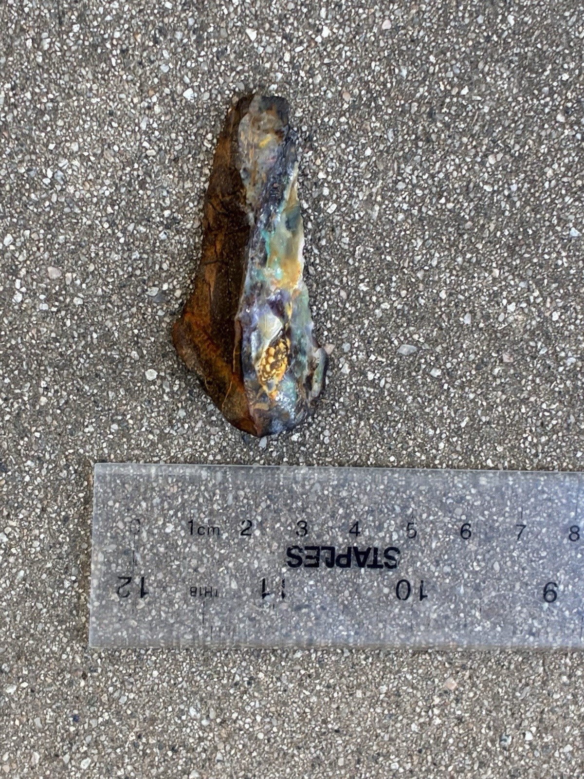 Beautiful 89ct Large Australian Boulder Opal Rough Loose Multicolor Specimen J