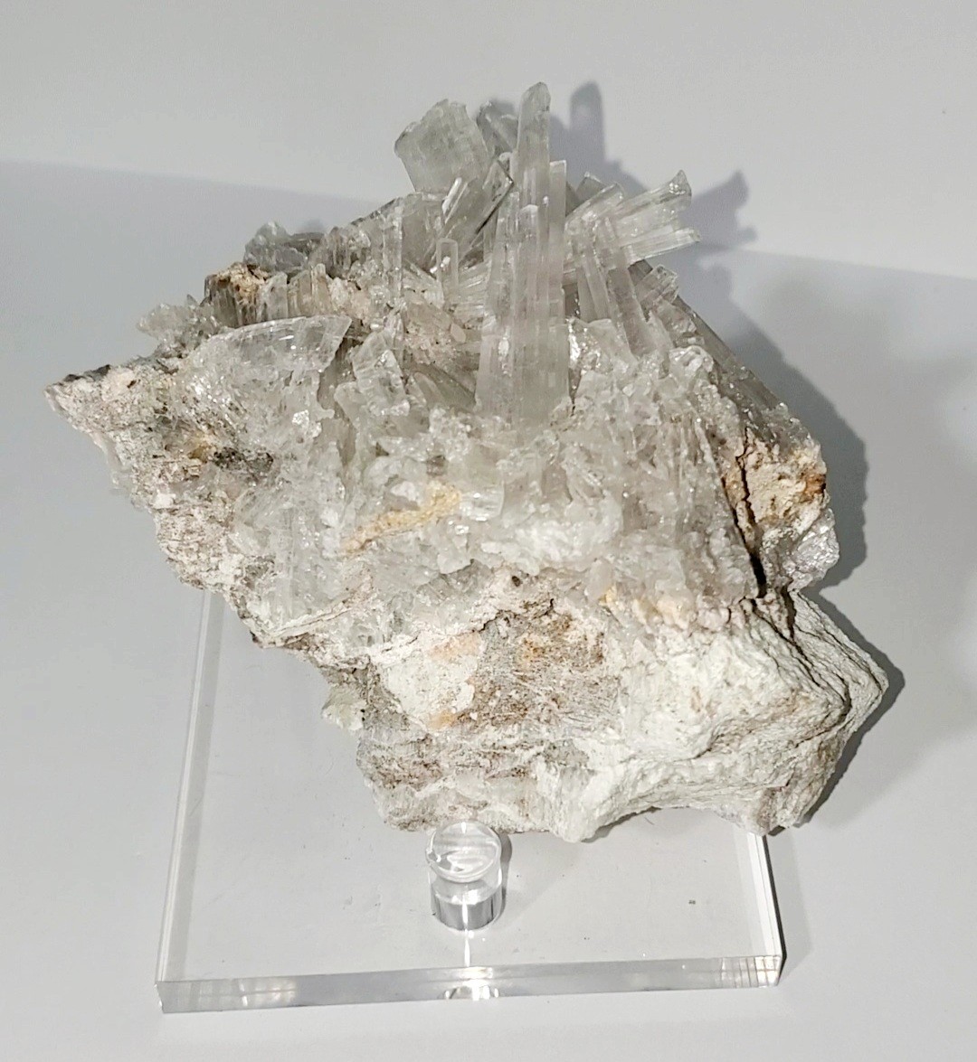 418g Hydroboracite with Gypsum Selenite Cluster