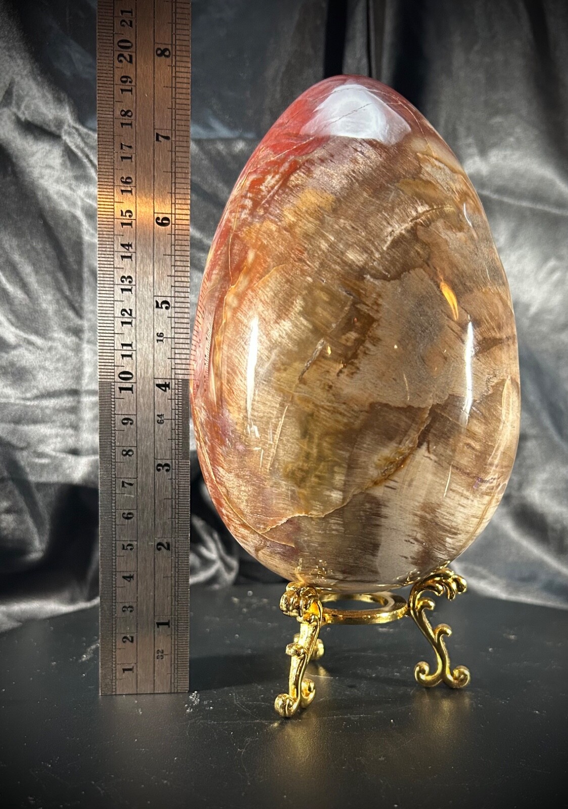5lb 4.2oz Petrified Wood Egg with Metal Stand