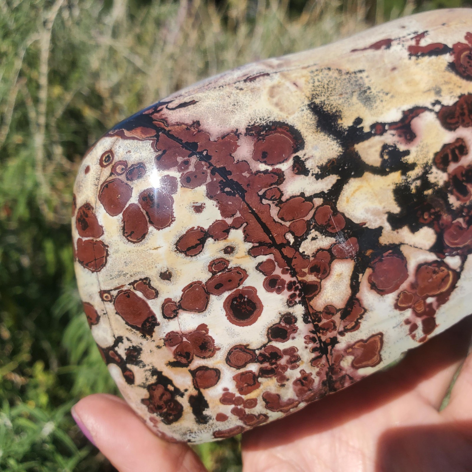 Picture Stone Jasper Dendritic Dendrite Display Freeform | 3lbs 5oz | 1490 Gram