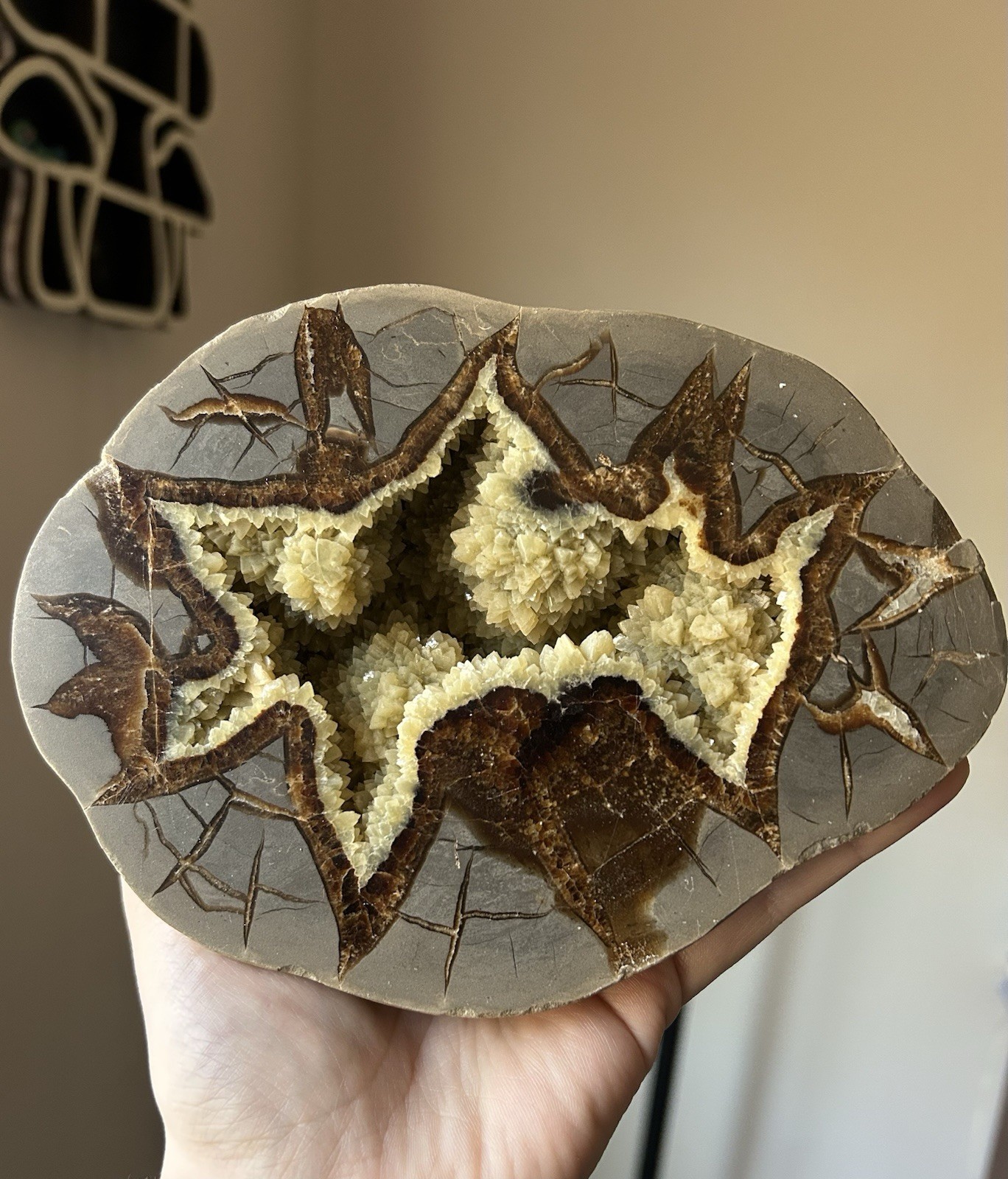 Dragon Stone