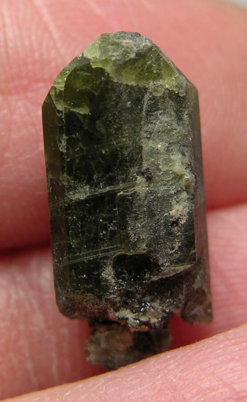 #2 Quebec Canada 7.50ct Natural Raw Diopside Crystal Specimen 1.50g 16.00mm