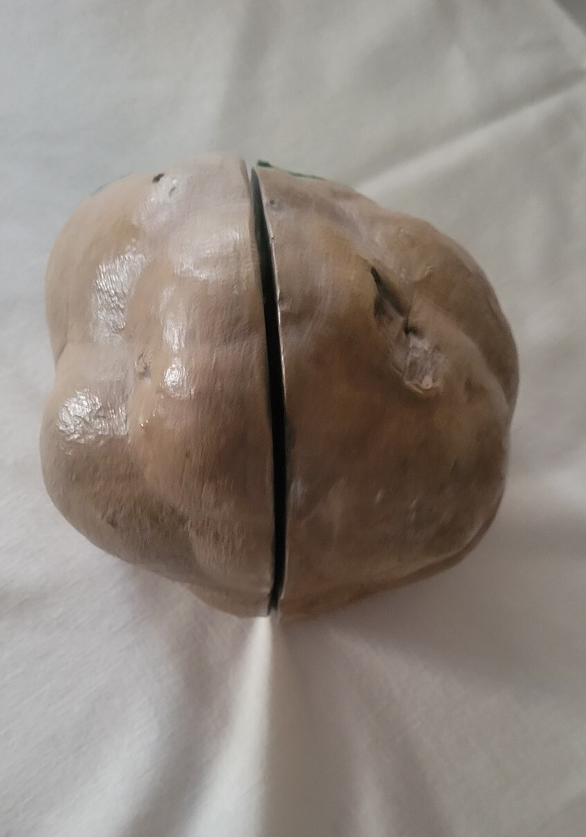 Septarian nodule LARGE Extra Fine MATCHED CUT.