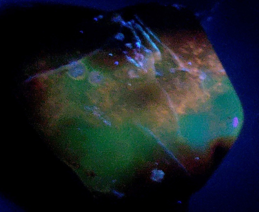 Polished Yellow Cat UV+ Agatized Petrified Wood Limb Cast Mineralization @ Depth