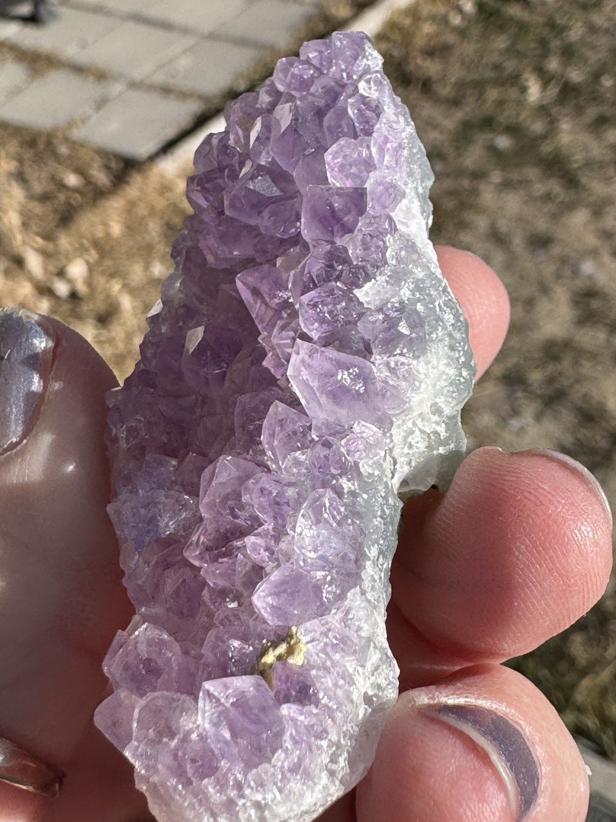 ✨Amazing African Amethyst Cluster
