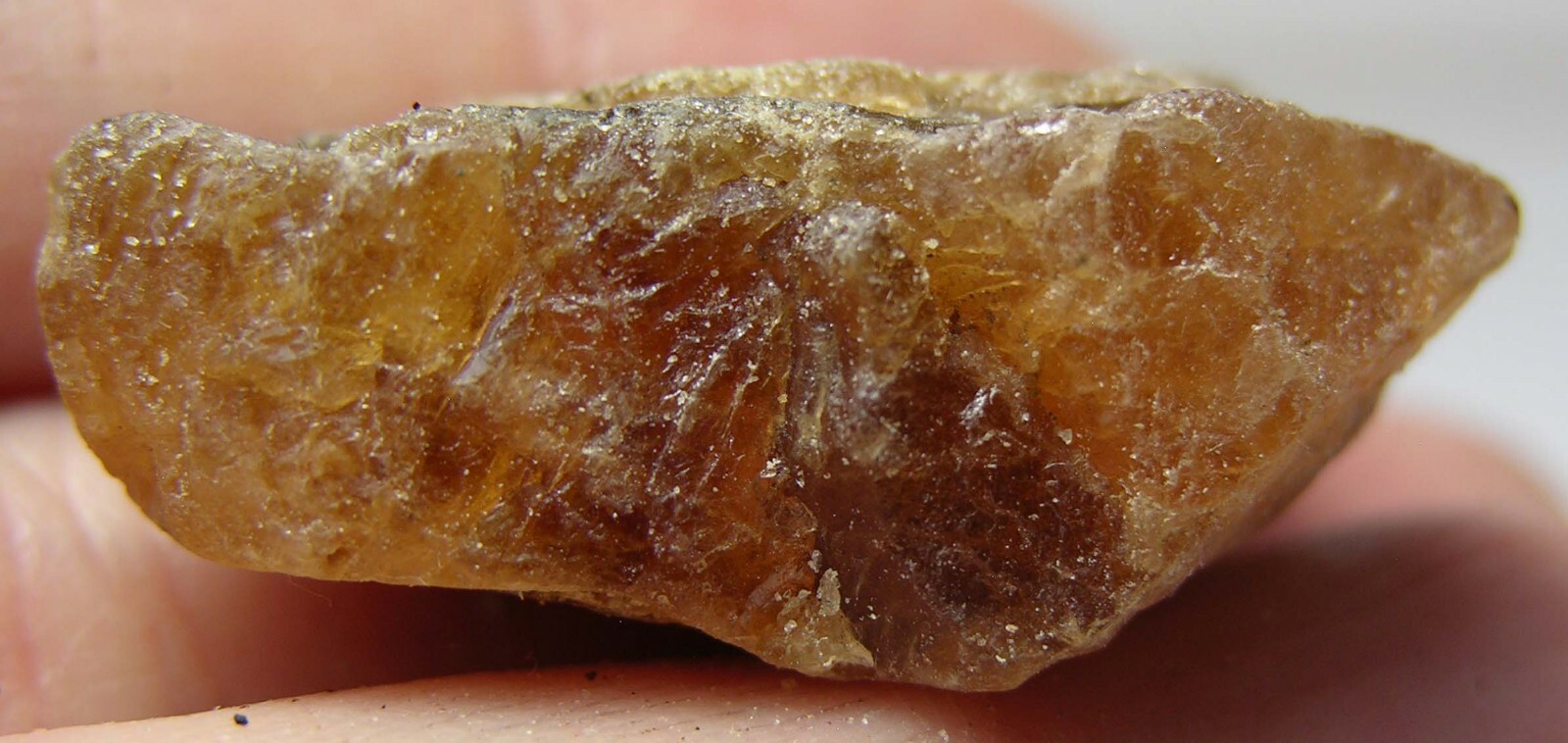 #8 Afghan 82.60ct 100% Natural Rough Raw Hessonite Garnet Specimen 16.50g 33mm