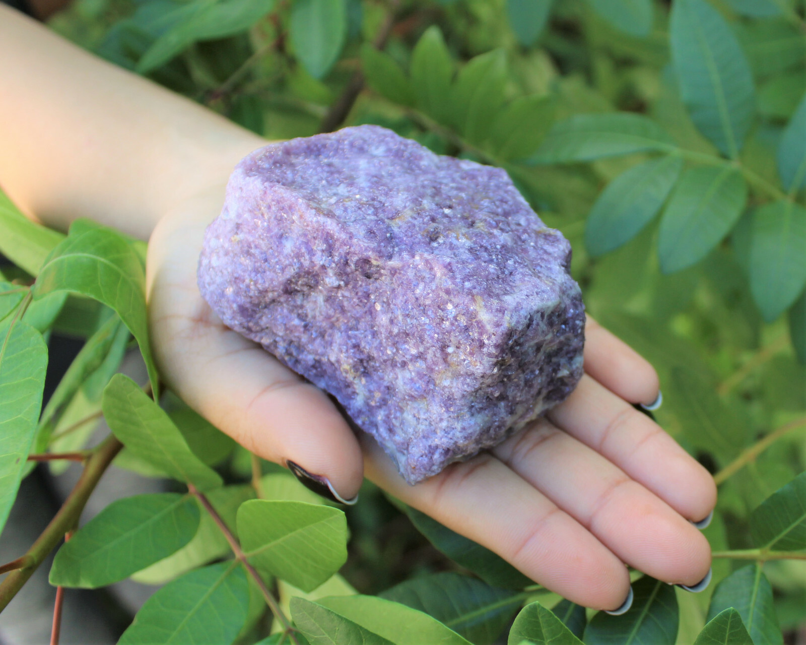 JUMBO Rough Lepidolite: 3″ – 5″ Huge Raw Natural Lepidolite Healing Crystals
