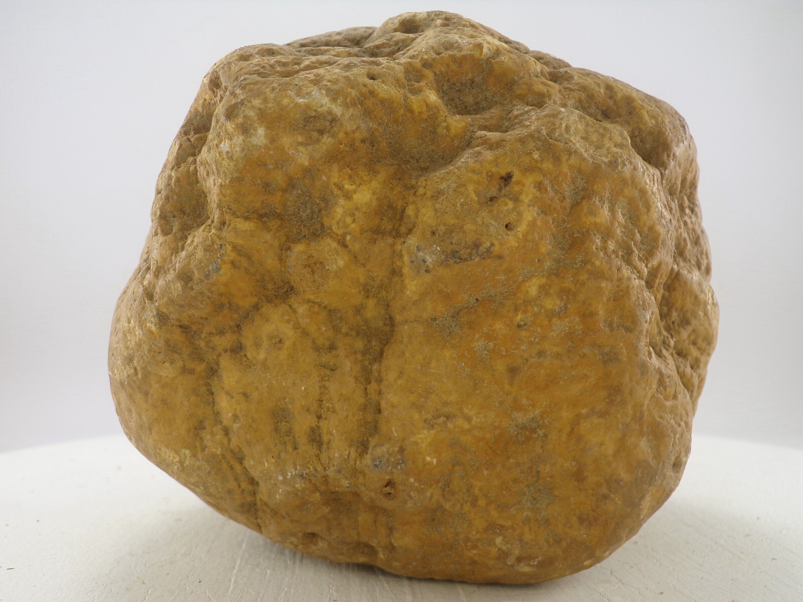 7″ Unopened Geode Nodule 6.4 LB – Natural Uncut Kentucky Quartz Crystal