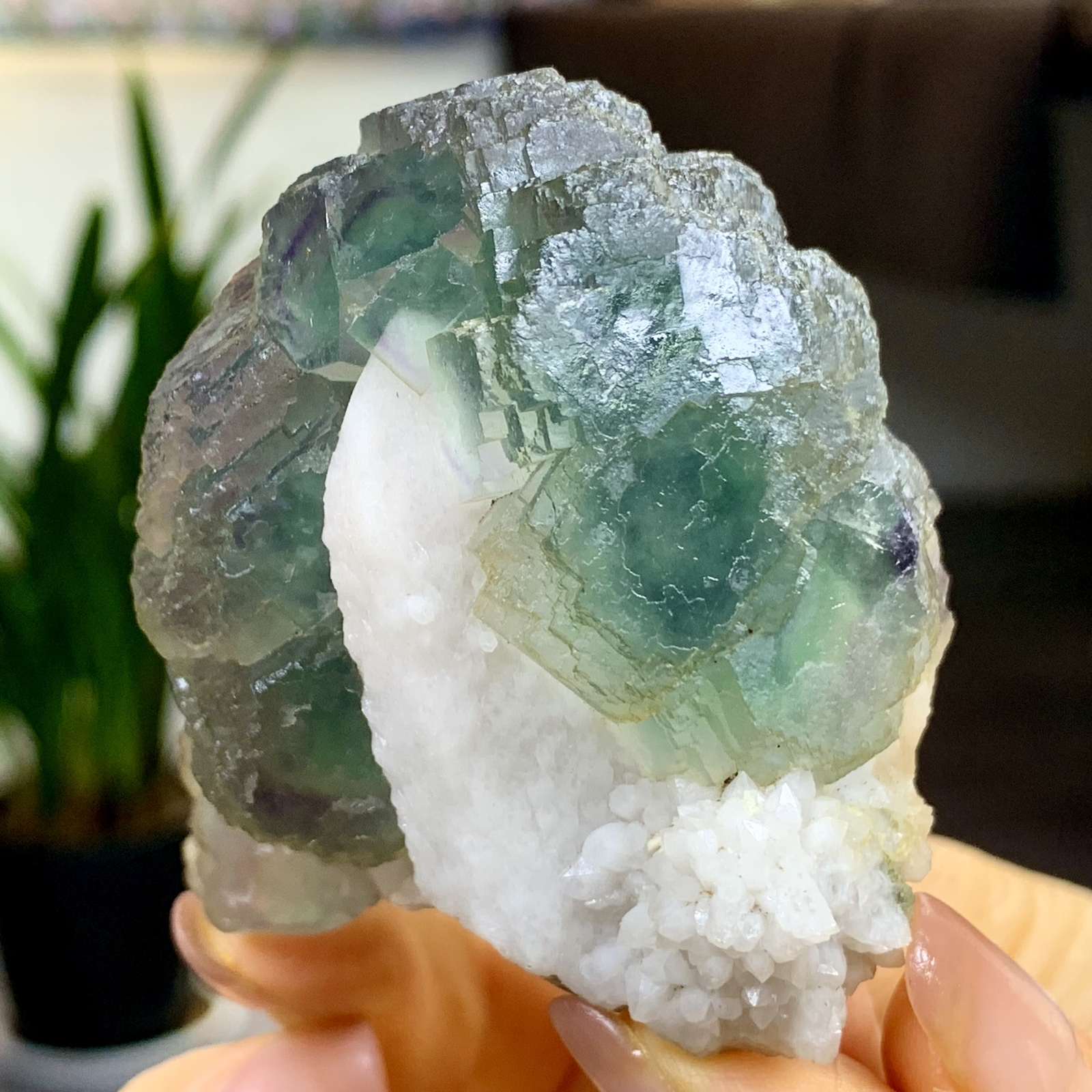 197G Rare transparent blue green cubic fluorite mineral crystal sample