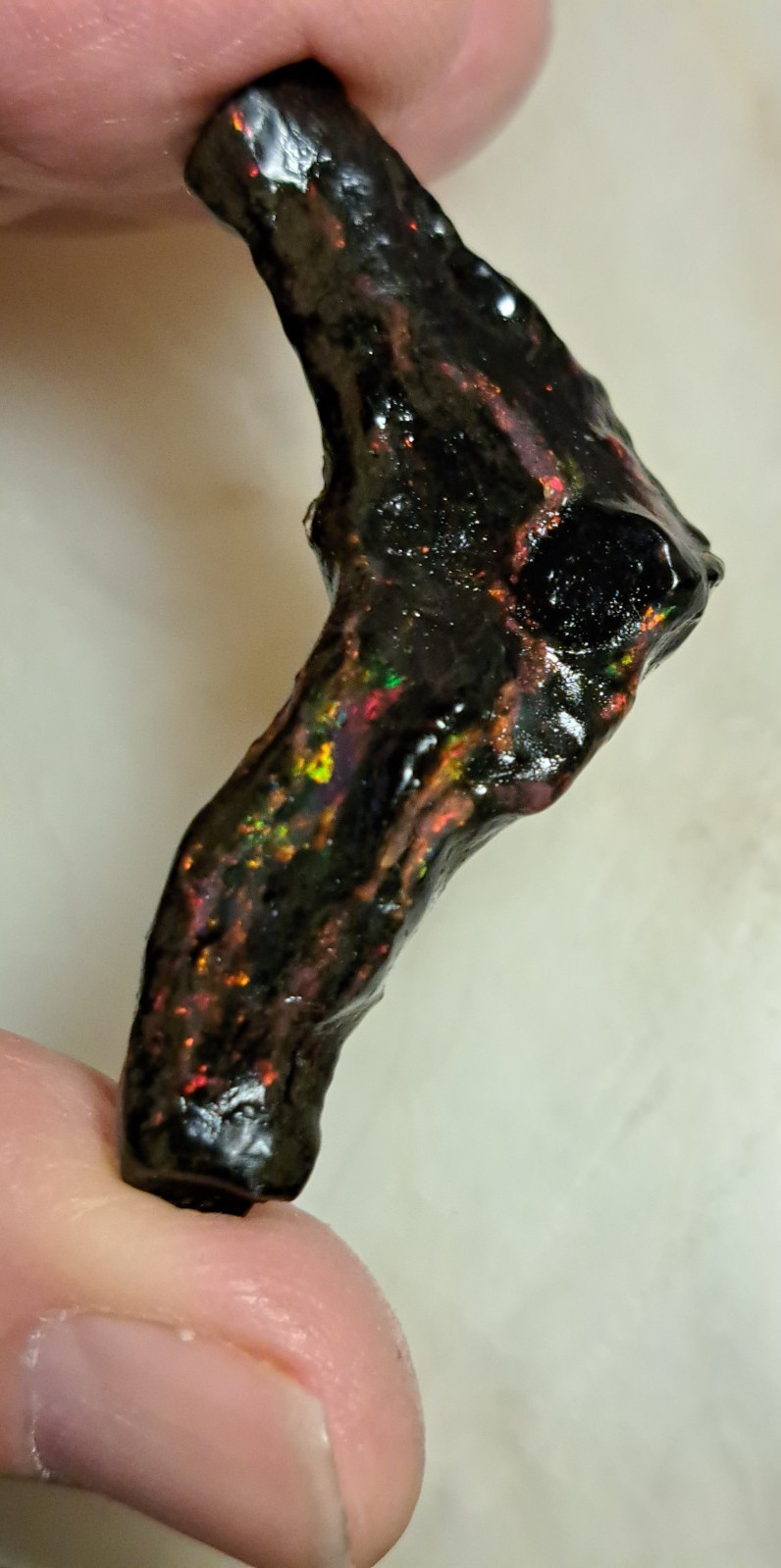 Huge Multicolor 38.52ct Indonesian Wood Opal Fossil Red, Green, & Yellow Flashes